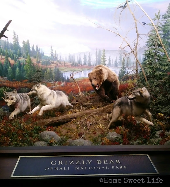 Wonders of Wildlife, Johnny Morris, Wildlife Galleries, Springfield MO, road trip, family trip, Bass Pro Shops, grizzly bear