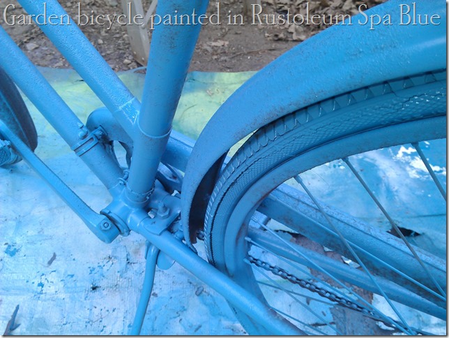 blue bike 1