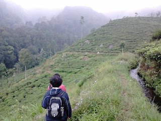 Air Terjun Medini