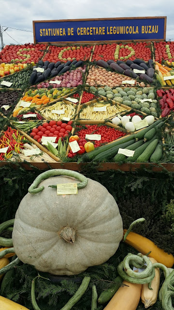 legume exotice la buzau la statiunea de cercetare legumicola