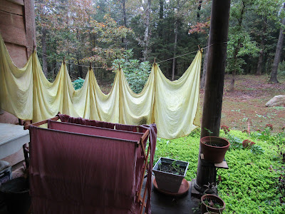 Newest goldenrod and avocado dyed fabrics