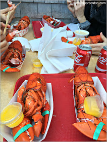 Lobster Shacks en Massachusetts:Bandeja con Langostas en el Roy Moore Lobster Company