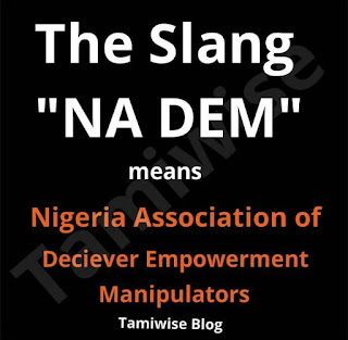 Nigeria Association of Deceiver Empowerment Manipulators (NA DEM)