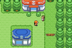 Pokemon Omega Screenshot