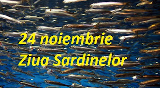 24 noiembrie: Ziua Sardinelor