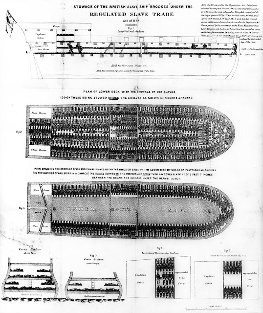 Slave ship plans