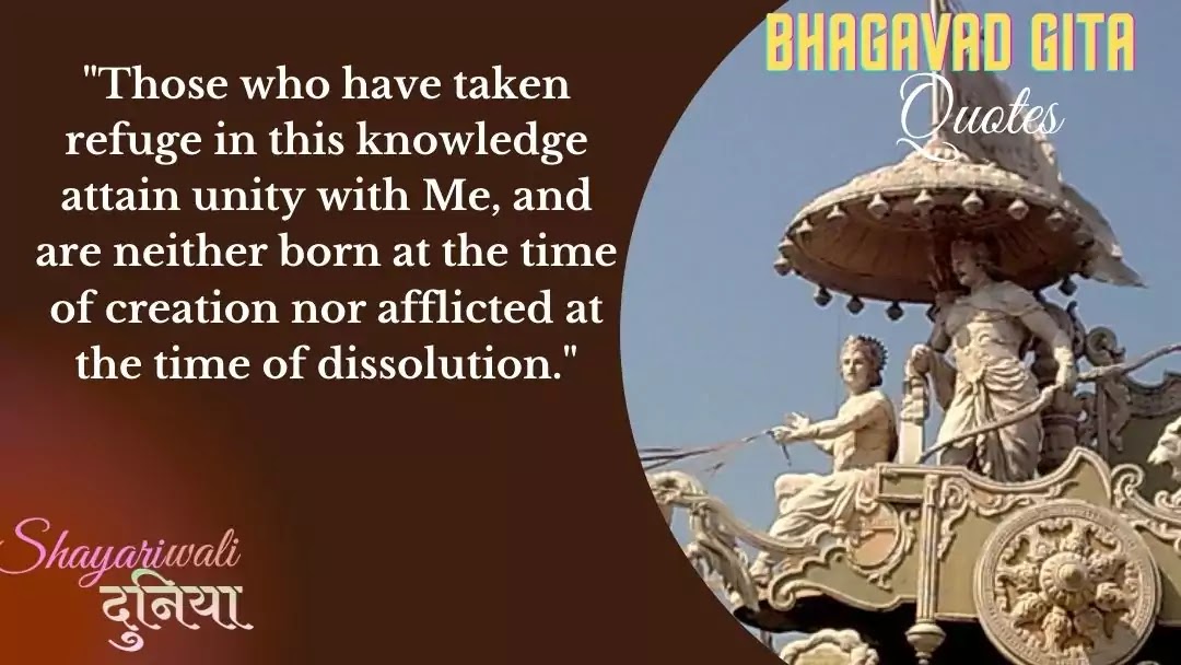 100+ Best Bhagavad Gita Quotes In Hindi & English