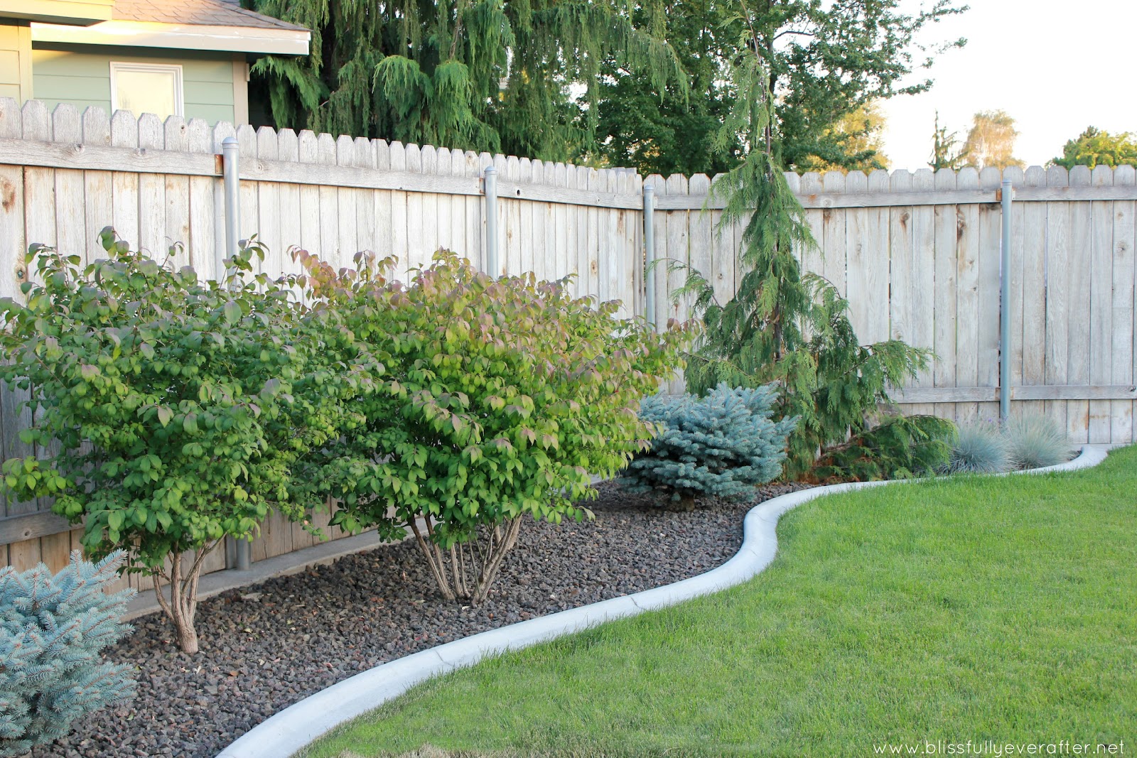 Inexpensive Backyard Garden Ideas Photograph Blissfully Ev