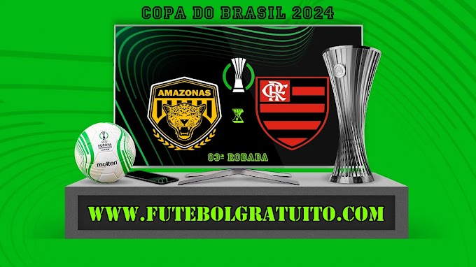 Assistir Amazonas x Flamengo ao vivo online grátis 22/05/2024