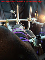 http://hkbondagemummyalbum.blogspot.hk/2016/01/16-01-28-wetsuit-boy-make-me-cum-4times.html