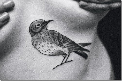 oiseau_sternum_tatouage