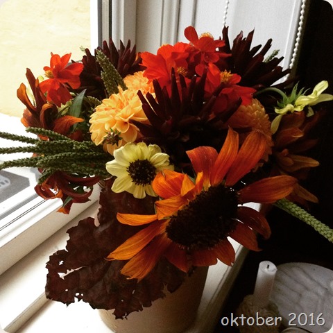 2016-10-01 18.20.17-1