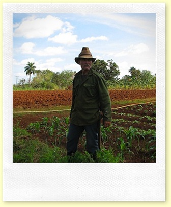 Cuban farmer