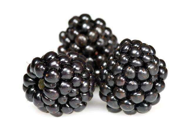 Health Benefits of Blackberries: