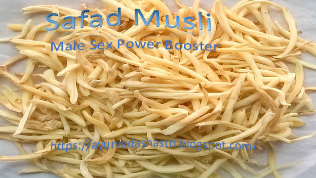 Safed Musli