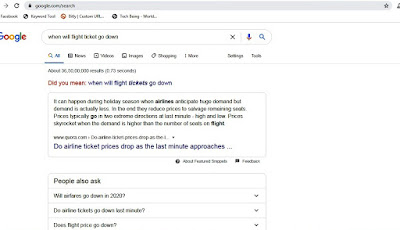 google search when will flight price go down