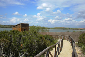 Observatorio de aves en la Laguna de Medina