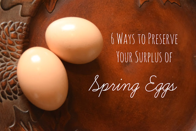 If you have chickens, you probably have an overabundance of eggs in spring. Here are 6 ways to preserve a surplus of fresh eggs.