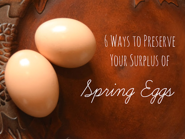 6 Ways to Preserve Eggs