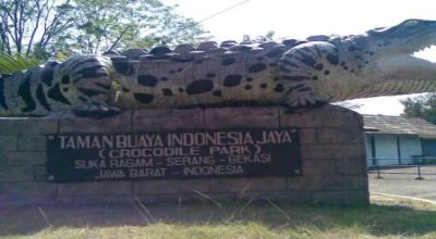 Taman Buaya indonesia jaya