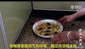 clip_image010