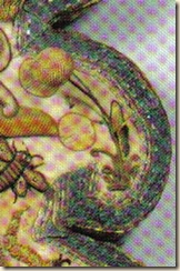 st_seedpod