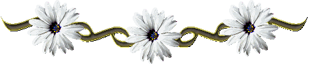[zenn7.gif]
