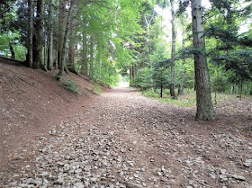 sterrata che sale da alpino al mottarone