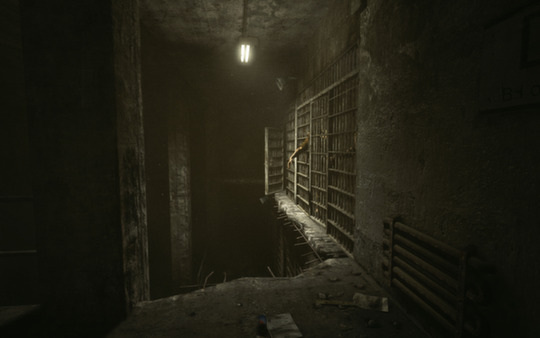 Outlast PC Game