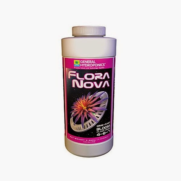 flora-nova-bloom