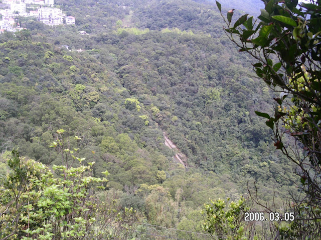 大崙頭山、碧山、白石湖山、大邱田山…趴趴走 (2006.03