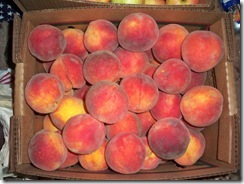 canning12