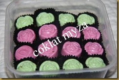 Coklat 30.3.2011 012