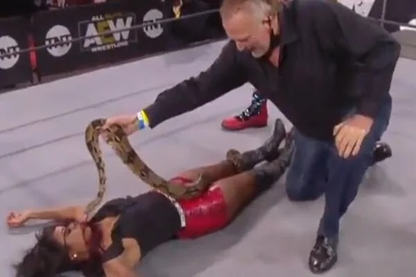 شاهد جيك ذا سنيك روبرتس يضع ثعبانا عملاقا فوق المصارعة براندي رودز في عرض AEW ديناميت (فيديو)