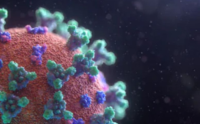What is coronavirus, coronavirus ko kaise pahchane, coronavirus se kaise bache,