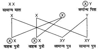 Solutions Class 12 जीव विज्ञान Chapter-5 (वंशागति और विविधता के सिद्धान्त)