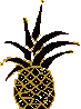 pineapple-2