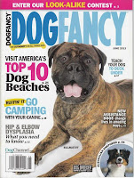 Dog Fancy Website4