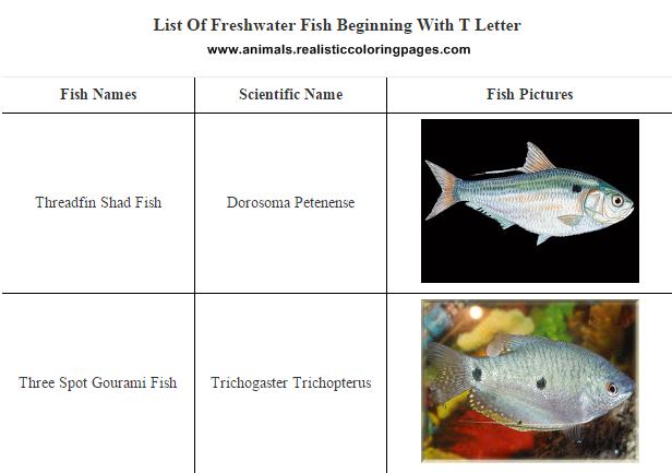 List of freshwater fish beginning with T