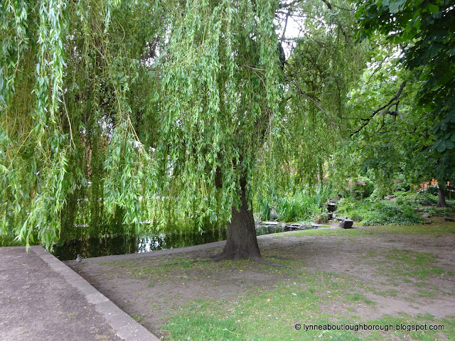 Willow trees next to a pond in a park