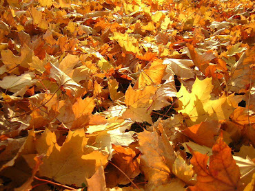 #3 Fall Leaves Wallpaper