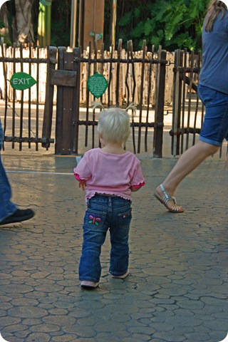 IMG_0187_edited-1