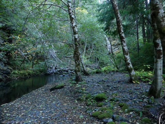 gravel bar site