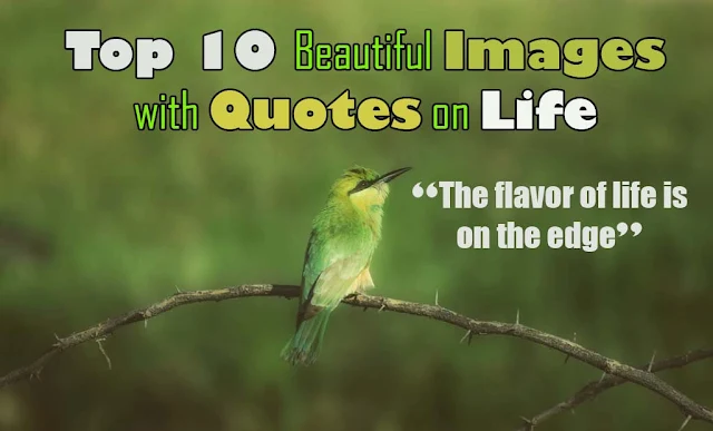 Beautiful images with quotes on life