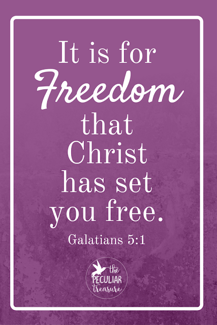 Christ set us free so that we could have true freedom. Read more to find out what that means and how to obtain it!