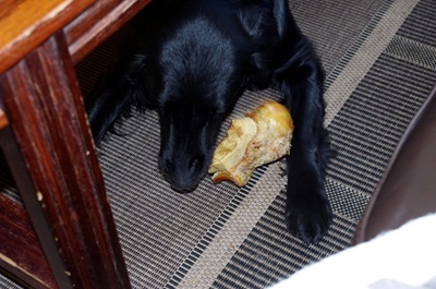 2010_1227test0002