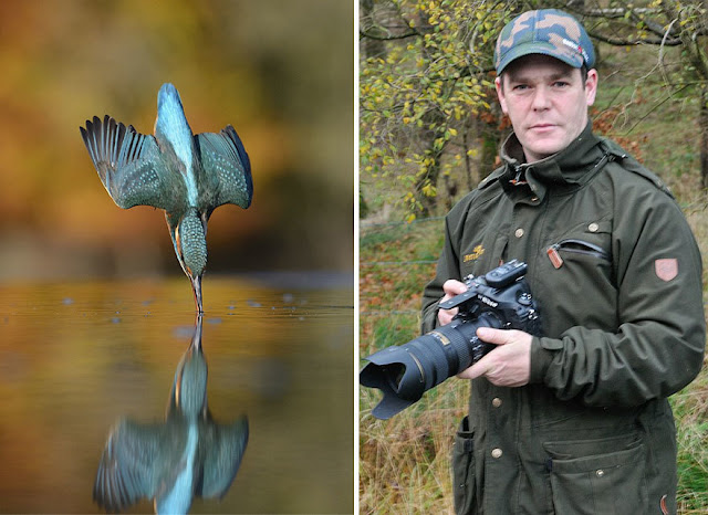 Photographer Finally Takes Perfect Photos Of Kingfisher