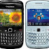 Software For BlackBerry® Curve™ 8520 smartphone