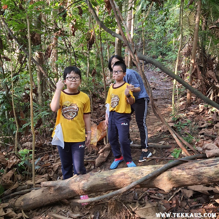 Jungle Trekking Bukit Beruang Hiking Hill