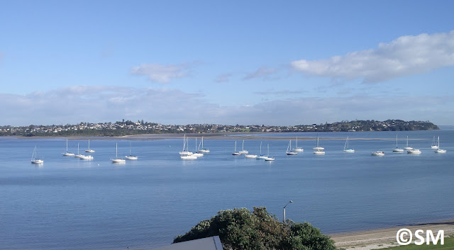 Photo de l'estuaire de la rivière Tamaki Auckland Nouvelle-Zélande